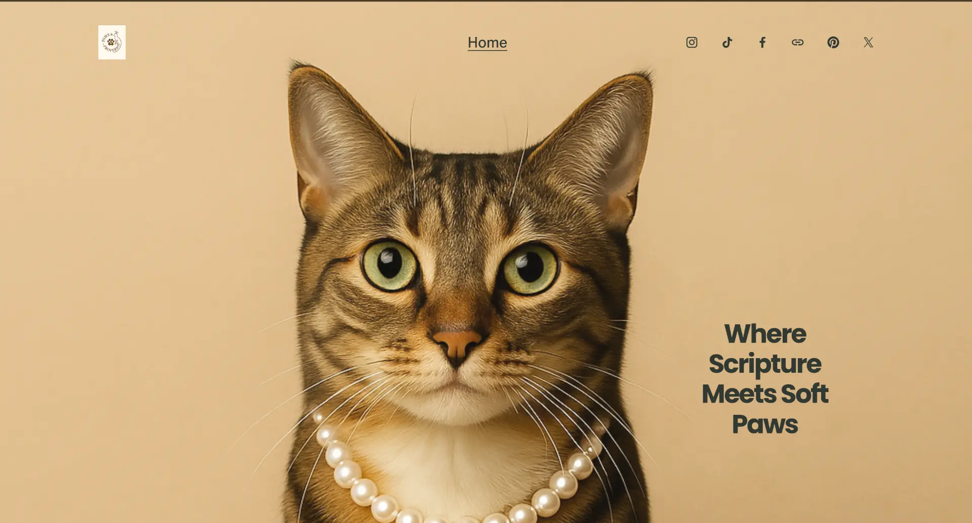 Paws & Proverbs website homepage
